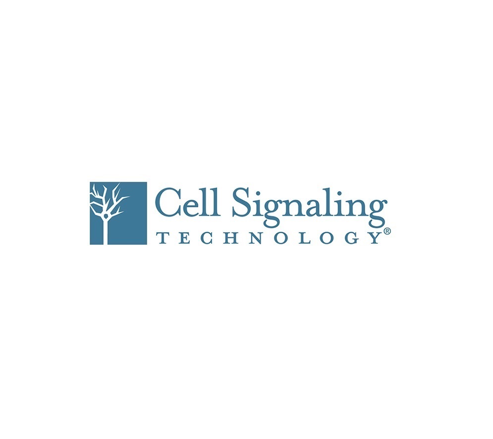 Cell Signaling TECHNOLOGY