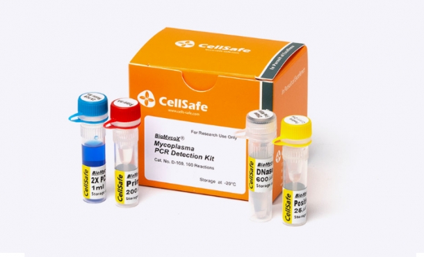 (검출-for R&D)BioMycoX® Mycoplasma PCR Detection Kit