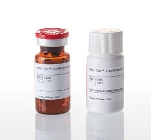 ONE-Glo™ Luciferase Assay System ( Firefly )