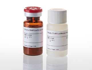Steady-Glo® Luciferase Assay System ( Firefly )