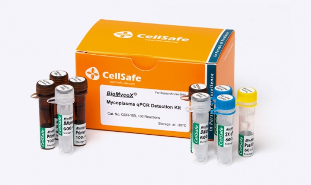 (검출-for R&D)BioMycoX® Mycoplasma qPCR Detection Kit