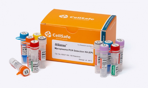 (검출-for Validation)HiSense™ Mycoplasma PCR Detection Kit