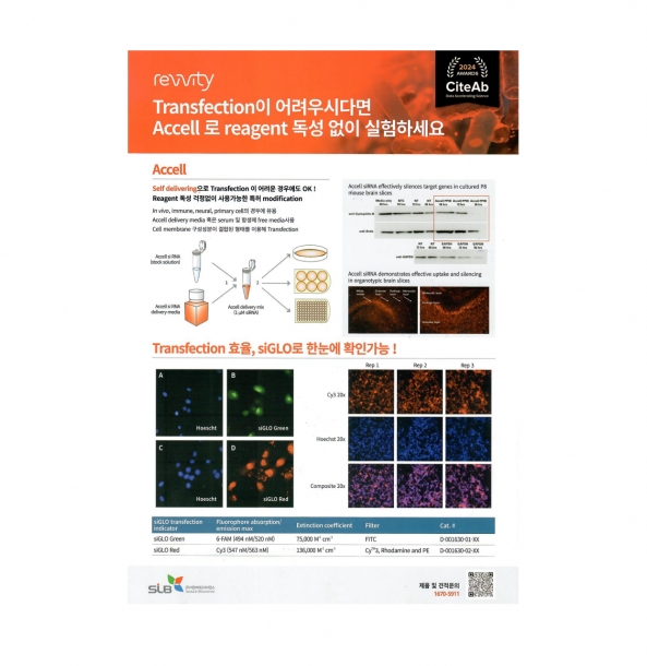 Trasnfection이 어려우시다면 Accel 로 reagent 독성없이 실험하세요.