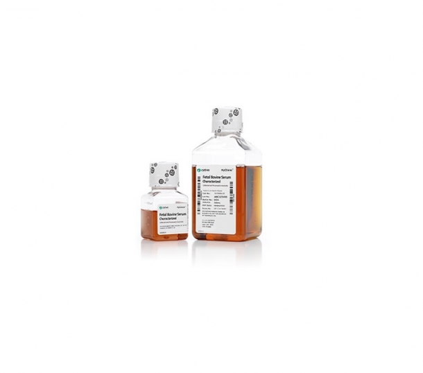 Fetal Bovine Serum (FBS)